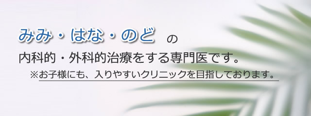 耳鼻喉の専門クリニックです。